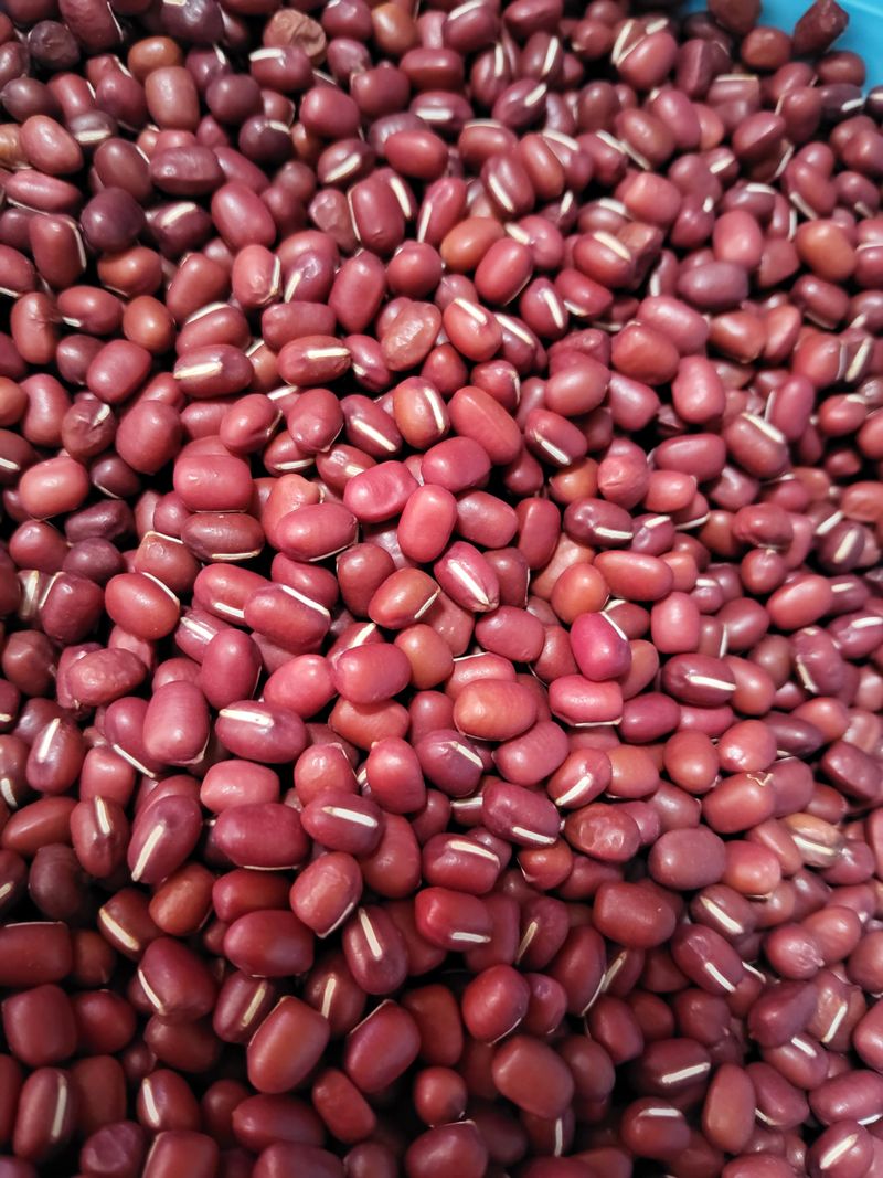 장터 상품 [팥1키로13000] 썸네일