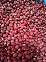 팜모닝 · 게시글 이미지