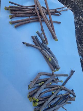 김용대님의 자유주제 · 자유게시판 작성글 사진