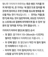 (팽나무*공주)님의 작성글 사진