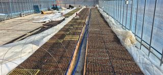 음두임님의 자유주제 · 자유게시판 작성글 사진