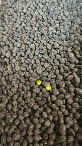 5도2촌님의 작성글 사진