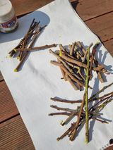 김용대님의 자유주제·자유게시판 작성글 사진