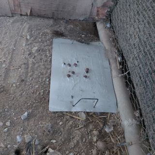 가로수님의 자유주제 · 자유게시판 작성글 사진