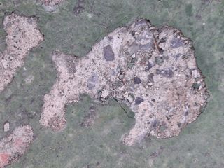 MSG0074님의 자유주제 · 자유게시판 작성글 사진