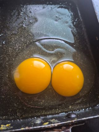 귤19190님의 작성글 사진