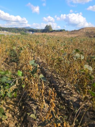 5도2촌님의 작성글 사진