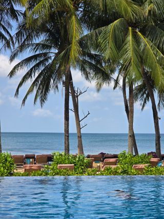 최동수님의 자유주제 · 자유게시판 작성글 사진