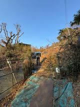 팜모닝 자유주제·자유게시판 게시글 이미지