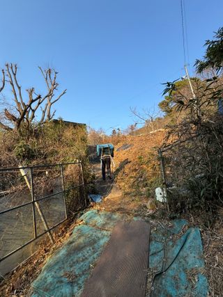 미날기미(김원영)님의 자유주제 · 자유게시판 작성글 사진