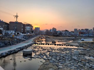 MSG0074님의 자유주제 · 자유게시판 작성글 사진