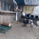 팜모닝 자유주제·자유게시판 게시글 이미지