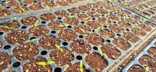 음두임님의 자유주제 · 자유게시판 작성글 사진