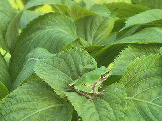 준영농장 출석왕.님의 자유주제 · 자유게시판 작성글 사진