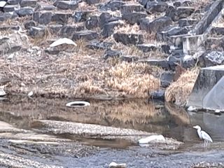 MSG0074님의 자유주제 · 자유게시판 작성글 사진