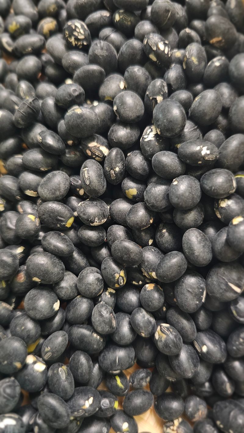 5도2촌님의 장터 판매 상품 [25년수확 귀족서리태] 첨부 사진