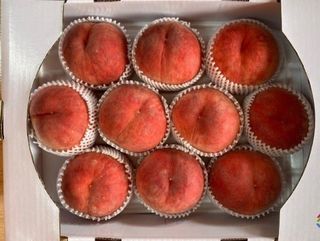 황덕순 님의 작성글 사진