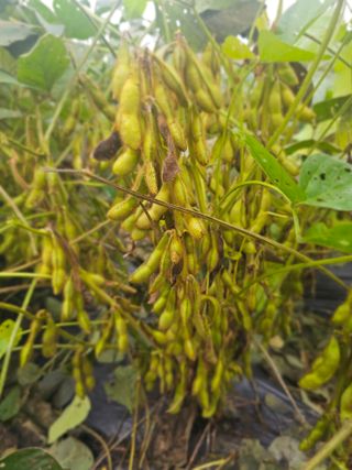 5도2촌님의 작성글 사진