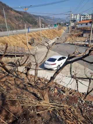 김용대님의 자유주제 · 자유게시판 작성글 사진