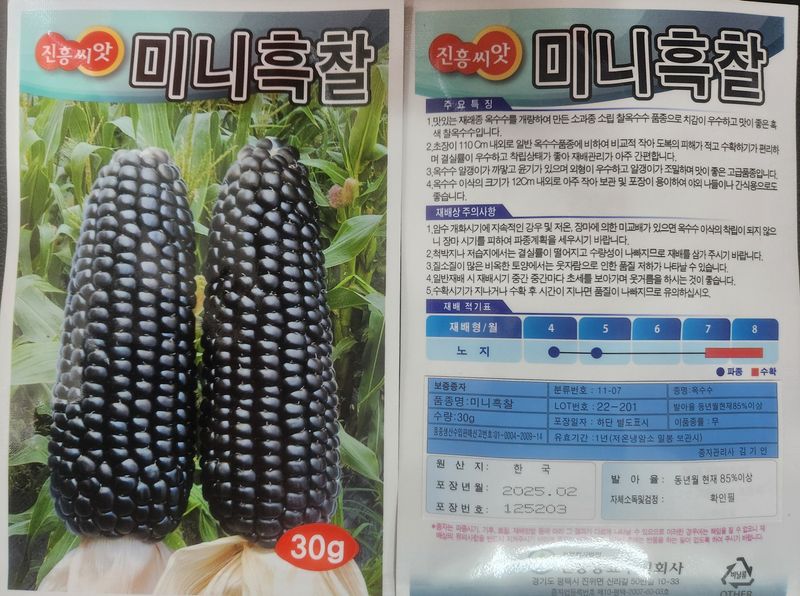 안산제일농약사님의 장터 판매 상품 [미니흑찰옥수수 30g 25년포장 7봉 마지막한분] 첨부 사진