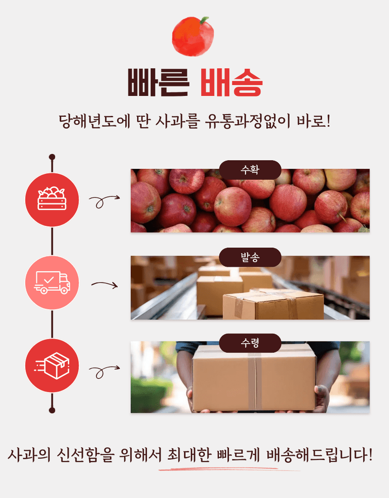 김태혁님의 장터 판매 상품 [꿀사과 시나노골드 부사 황금사과 [농가직송]] 첨부 사진