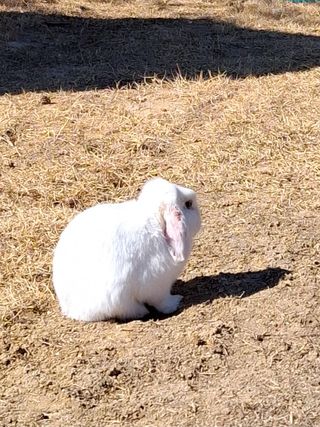 MSG0074님의 자유주제 · 자유게시판 작성글 사진