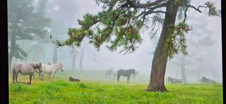 김화석님의 작성글 사진