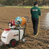 팜모닝 · 게시글 이미지