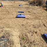 팜모닝 자유주제·자유게시판 게시글 이미지