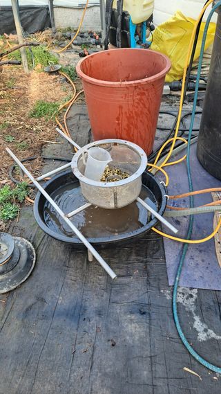 모포리흰개 님의 자유주제 · 자유게시판 작성글 사진