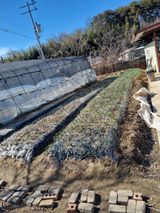 팜모닝 자유주제·자유게시판 게시글 이미지