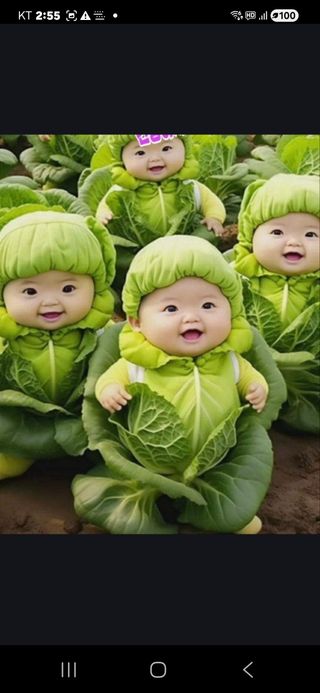 김화석님의 작성글 사진