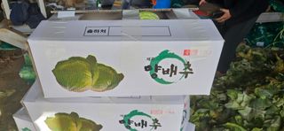 김화석님의 작성글 사진