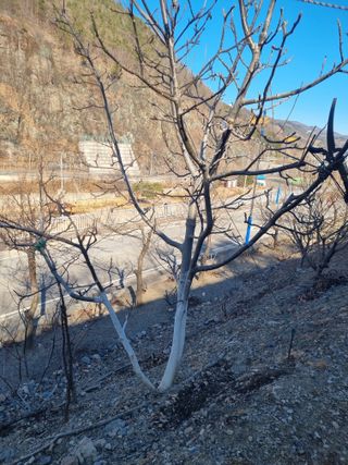 김용대님의 자유주제 · 자유게시판 작성글 사진