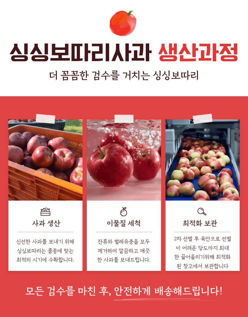 김태혁님의 장터 판매 상품 [꿀사과 시나노골드 부사 황금사과 [농가직송]] 첨부 사진