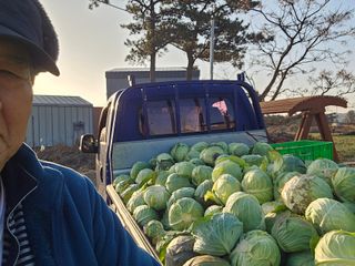 김화석님의 작성글 사진