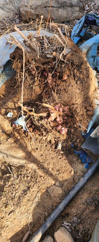 성낙신 님의 자유주제 · 자유게시판 작성글 사진