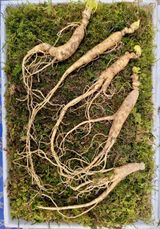 팜모닝 기타작물·자유게시판 게시글 이미지