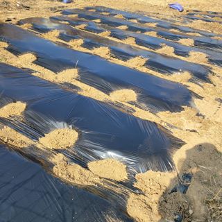 이창화님의 자유주제 · 자유게시판 작성글 사진