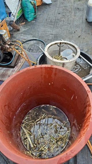 모포리흰개 님의 자유주제 · 자유게시판 작성글 사진