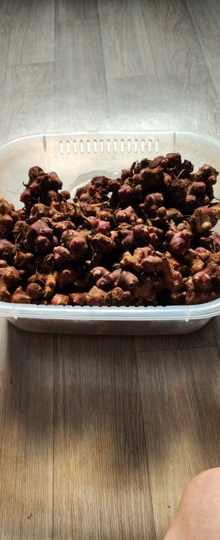 성낙신 님의 자유주제 · 자유게시판 작성글 사진