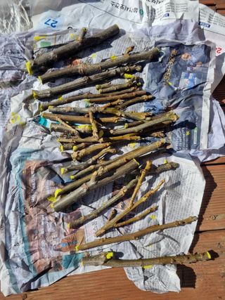 김용대님의 자유주제 · 자유게시판 작성글 사진