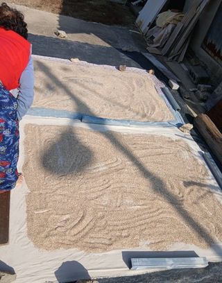 함세은님의 참깨·자유게시판 작성글 사진