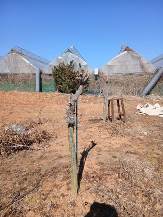 한상숙님의 작성글 사진