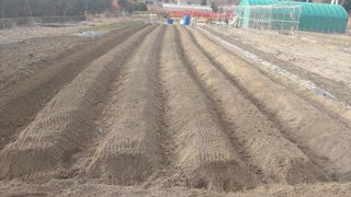 두망안님의 자유주제 · 자유게시판 작성글 사진