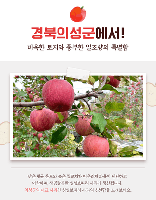 김태혁님의 작성글 사진