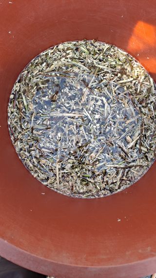 모포리흰개 님의 자유주제 · 자유게시판 작성글 사진