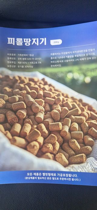 펠렛전문이부장님의 작성글 사진