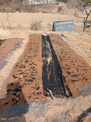 두릅나무10495님의 자유주제 · 사진전 작성글 사진