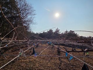 노고단님의 자유주제 · 자유게시판 작성글 사진